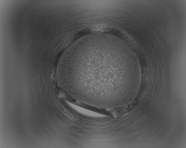 X0000067460601200604211543