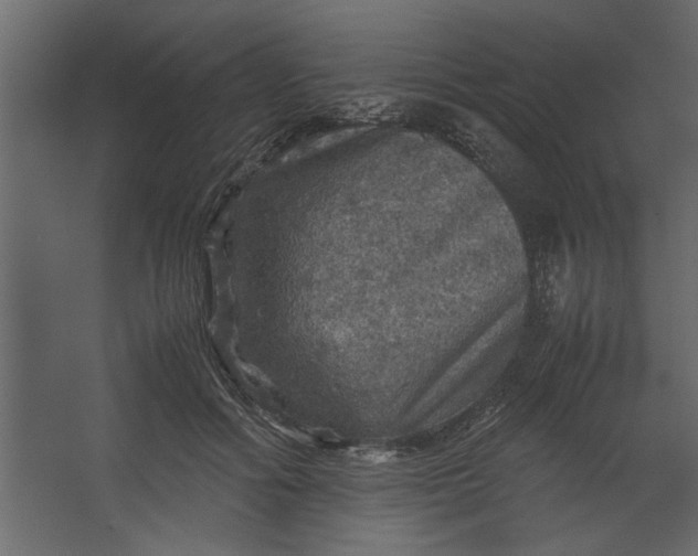 X0000067460602200604211543