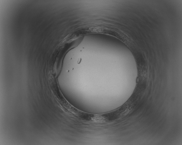 X0000067460603200604211543