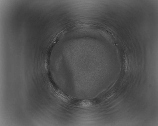 X0000067460604200604211543