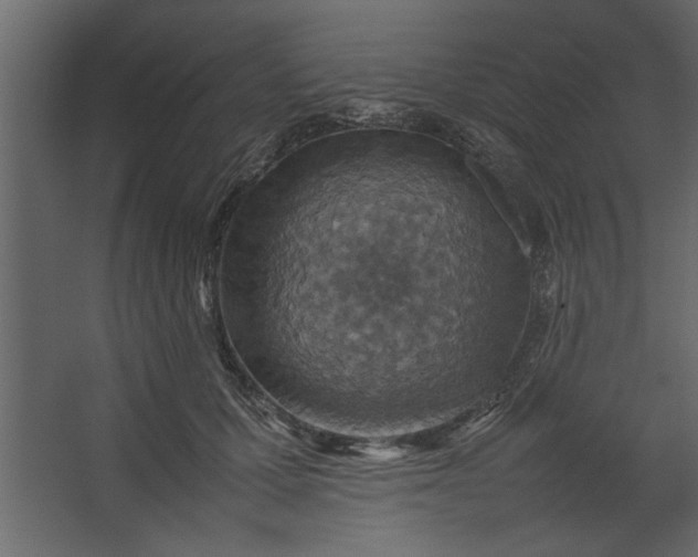 X0000067460607200604211543