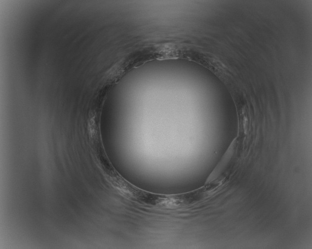 X0000067460611200604211543