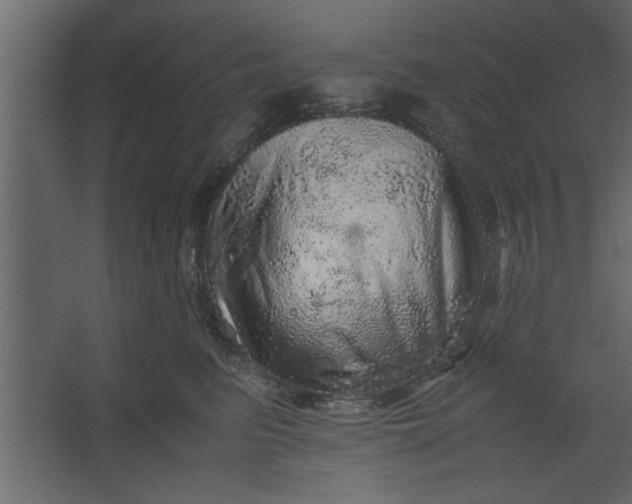 X0000067460615200604211543