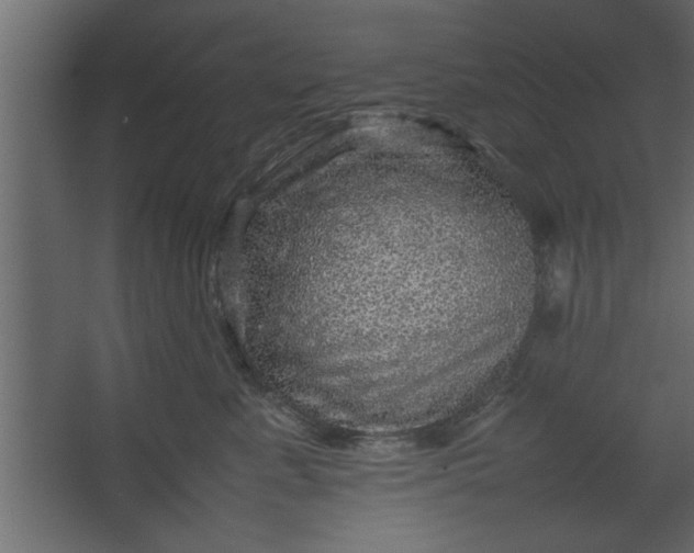 X0000067460619200604211542