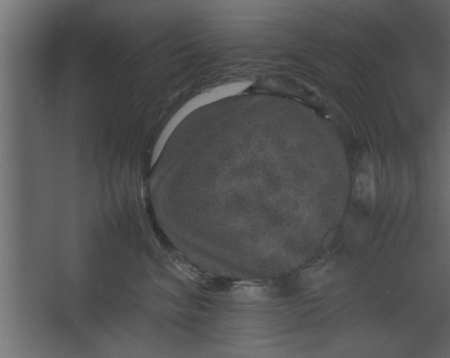 X0000067460620200604211542