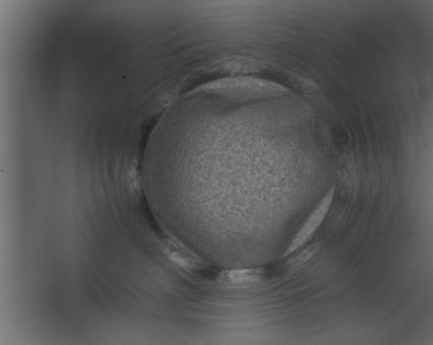 X0000067460622200604211542