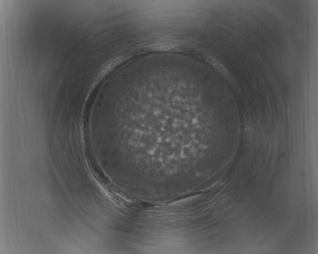 X0000067460626200604211542