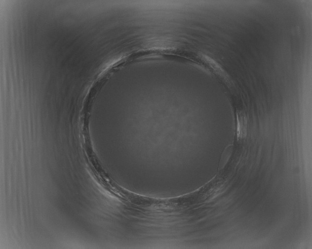 X0000067460627200604211542