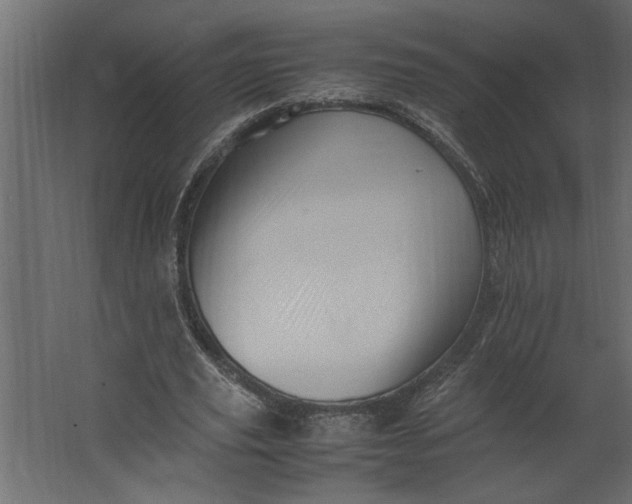 X0000067460629200604211542