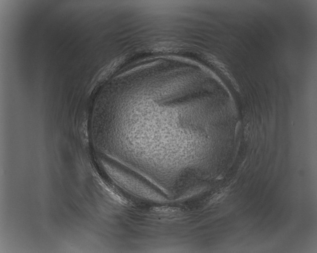 X0000067460633200604211542