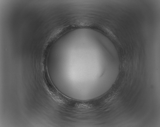 X0000067460635200604211542