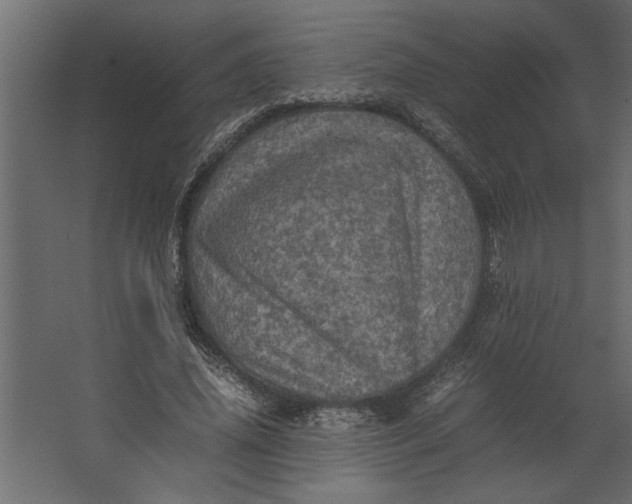 X0000067460636200604211542