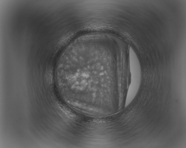 X0000067460640200604211542