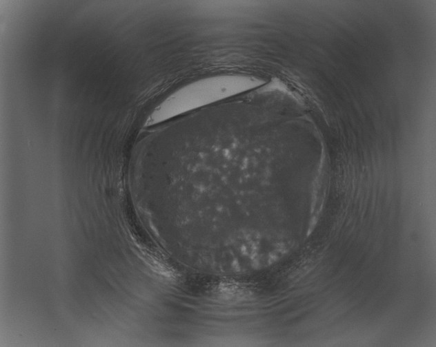 X0000067460641200604211542