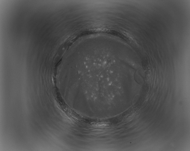 X0000067460643200604211542