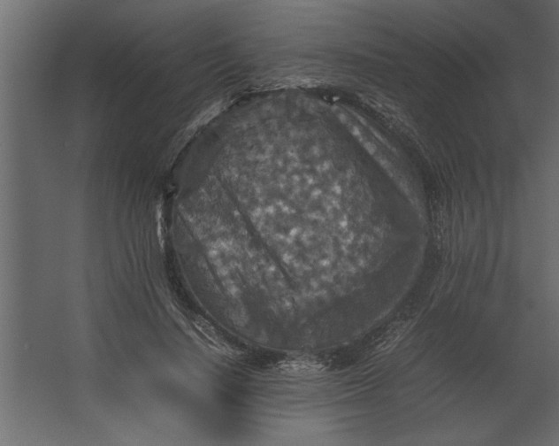 X0000067460644200604211542