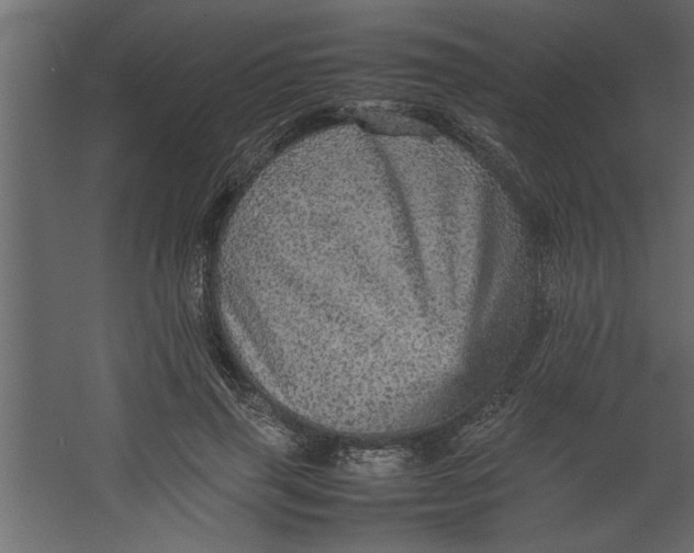 X0000067460645200604211542