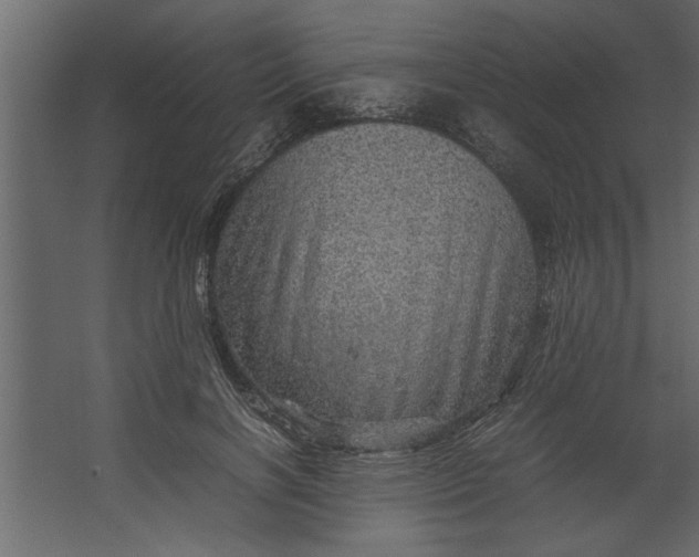 X0000067460646200604211542