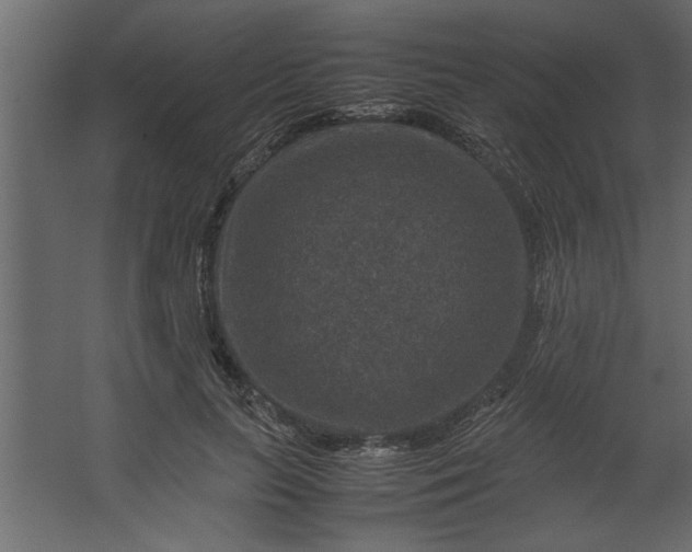 X0000067460647200604211542