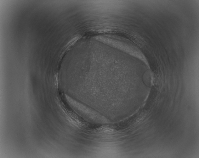 X0000067460648200604211542