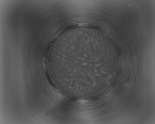 X0000067460650200604211542