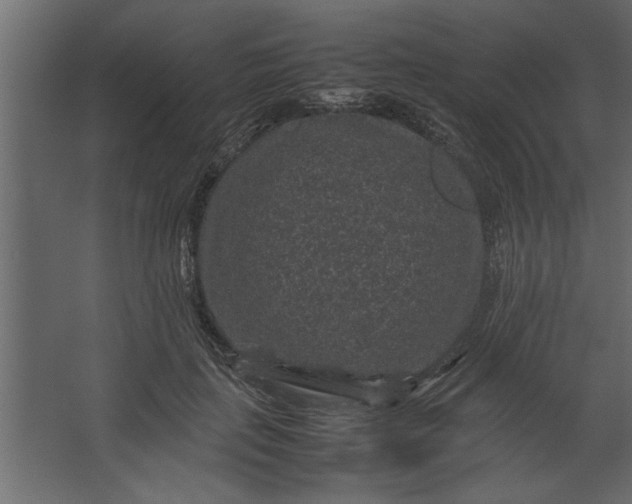 X0000067460651200604211542