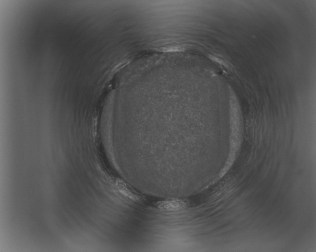 X0000067460652200604211542