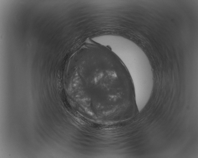 X0000067460653200604211542