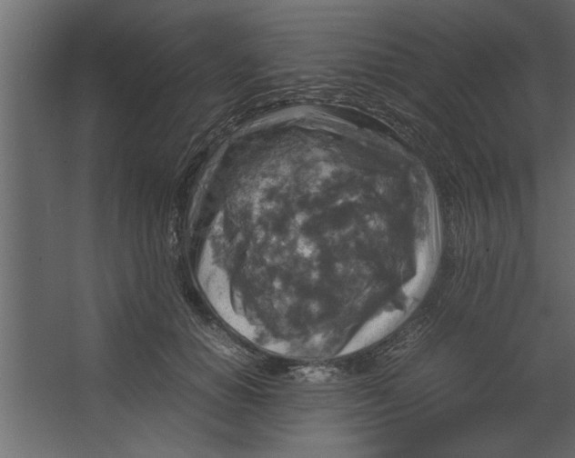 X0000067460654200604211542