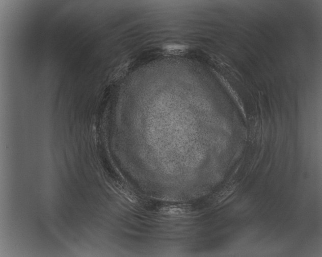 X0000067460655200604211542