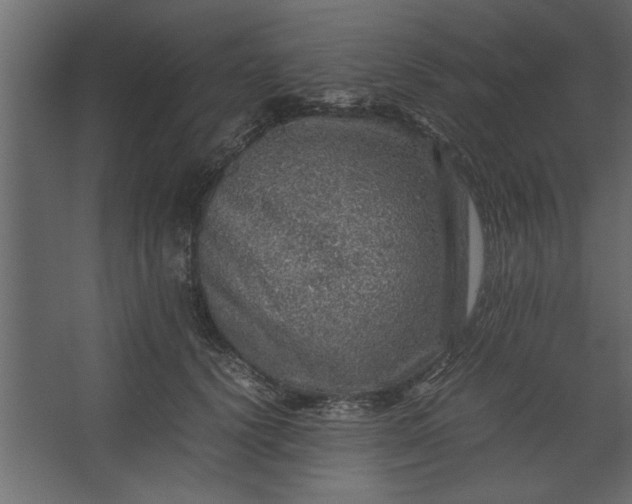 X0000067460656200604211542