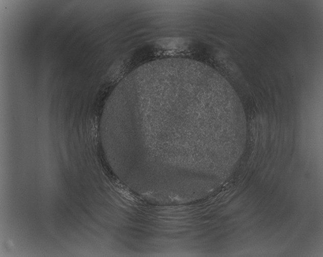 X0000067460657200604211542