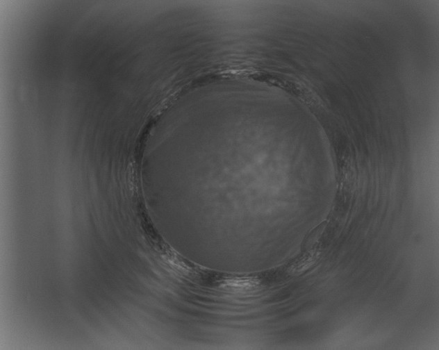 X0000067460659200604211542