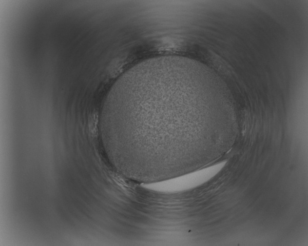 X0000067460660200604211542