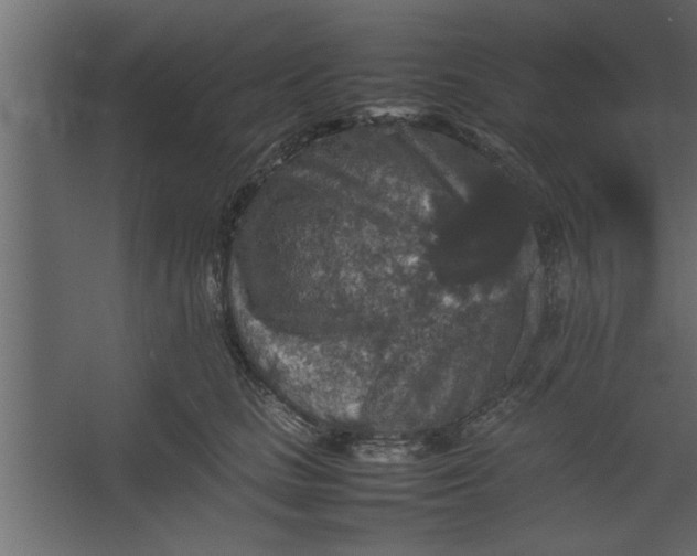 X0000067460661200604211542