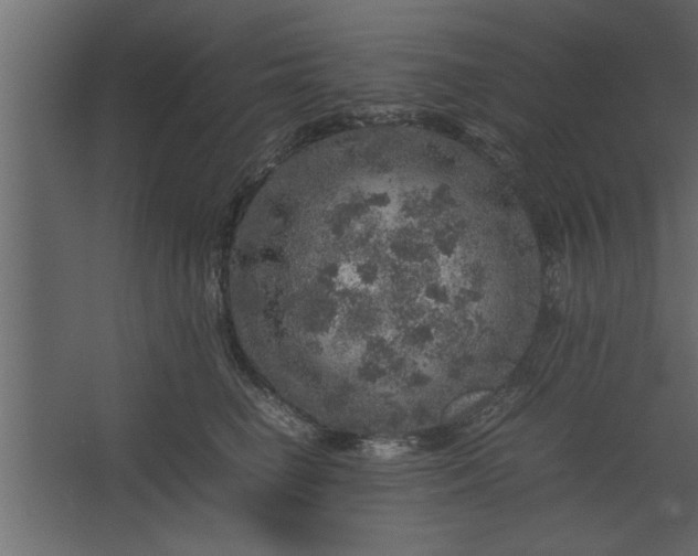 X0000067460662200604211542