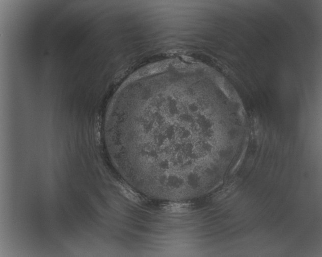 X0000067460664200604211542