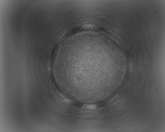 X0000067460665200604211542