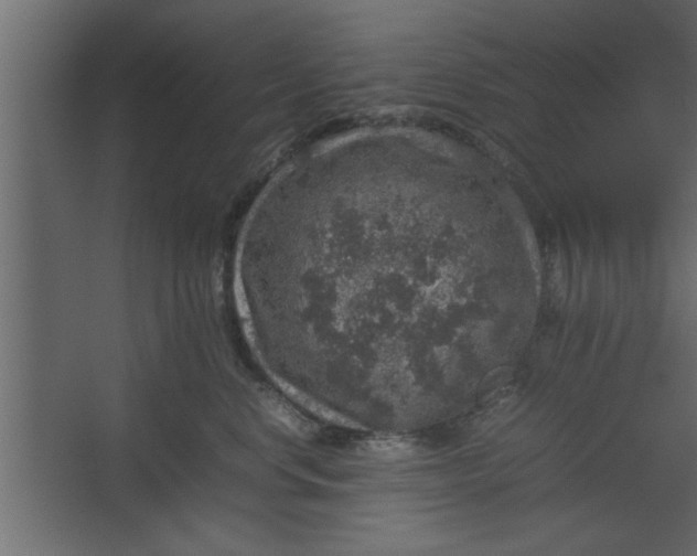 X0000067460668200604211542