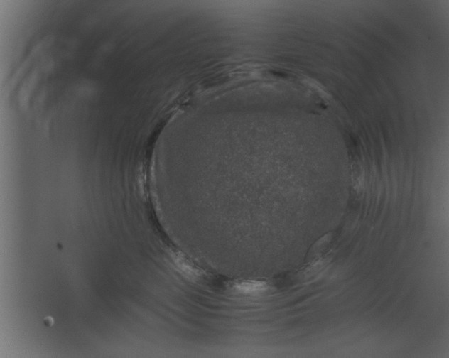 X0000067460669200604211542