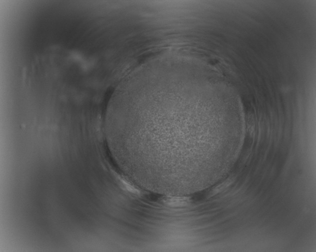 X0000067460670200604211542