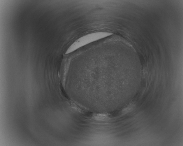 X0000067460671200604211542