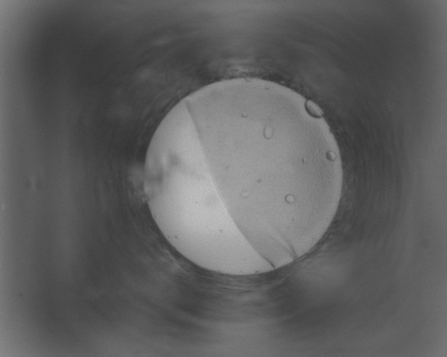 X0000067460672200604211542