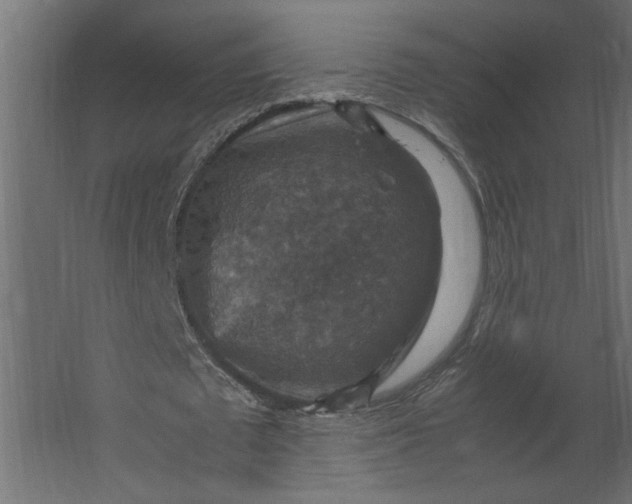 X0000067460673200604211542