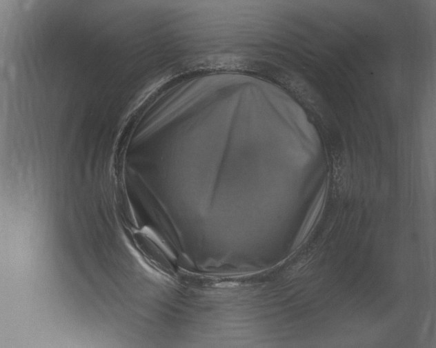 X0000067460674200604211542