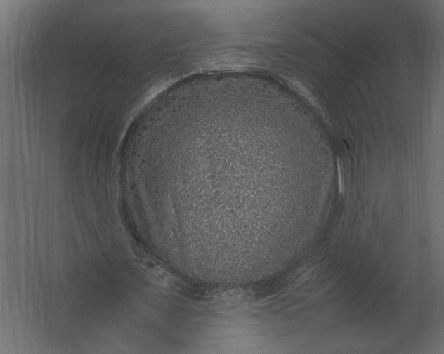 X0000067460675200604211542