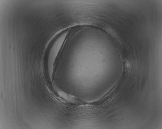 X0000067460676200604211542