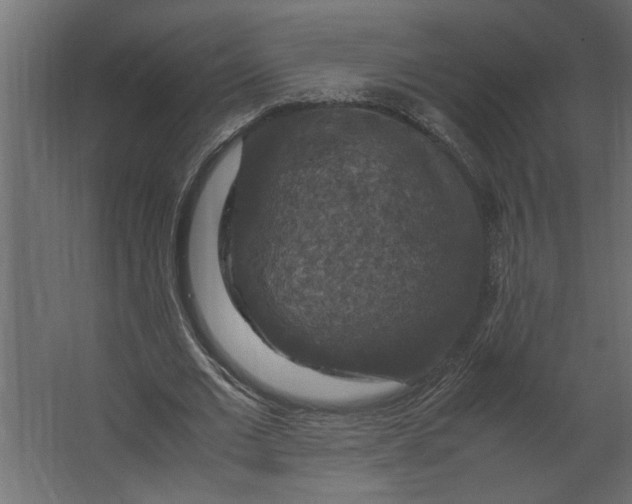 X0000067460677200604211542