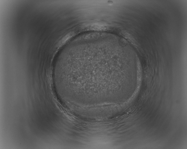 X0000067460679200604211541