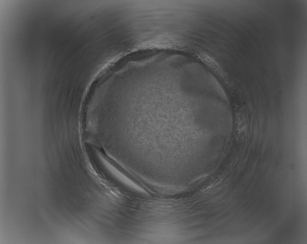 X0000067460680200604211541